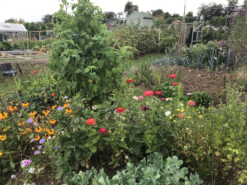 Blockley Allotments